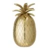 Bloomingville Ijsemmer Ananas Goud Ø13xH24 Cm 2 Bloomingville Ijsemmer Ananas Goud Ø13xH24 Cm -Bloomingville bloomingville ijsemmer ananas goud 13xh24 cm