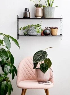 Bloomingville North Wandrek - 12408888 -Bloomingville bloomingville north wandrek 12408888 3