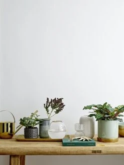 Bloomingville Paula Bord Bruin - Set Van 6 Stuks -Bloomingville bloomingville paula bord bruin set van 6 stuks 7